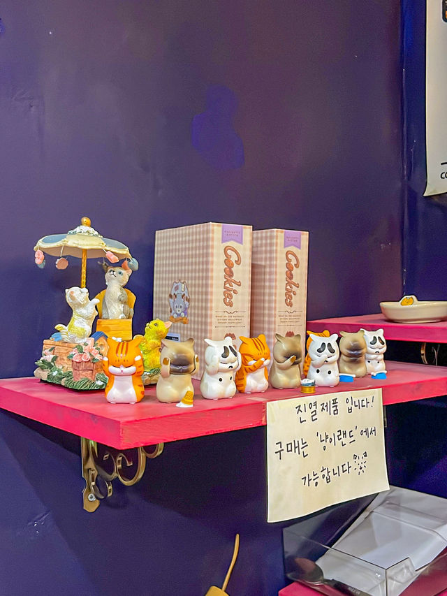 실내데이트로 좋은 고양이 굿즈 가득 이색 소품샵 