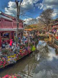 Timeless Stone Paths: A Spring Stroll Through Lijiang Old Town
