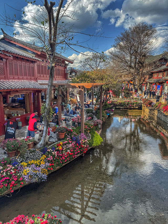 Timeless Stone Paths: A Spring Stroll Through Lijiang Old Town