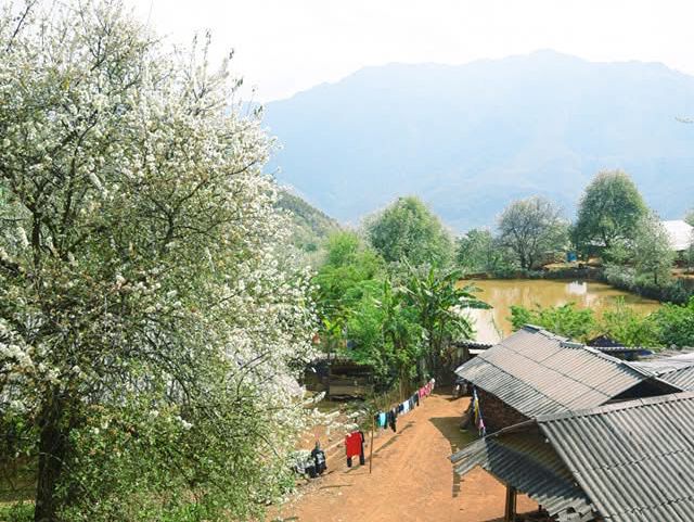 Sơn La