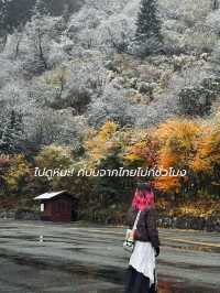 ปี้เผิงโกว! อุทยาน 4A ที่สวยมากกว่านั้น! 