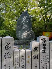 【福津】嵐のCMでも有名！絶景の神社