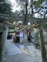 【熊本旅行】竹林に囲まれた知る人ぞ知るパワースポット神社⛩