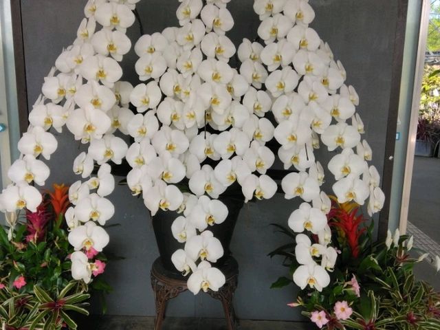 美しい景色