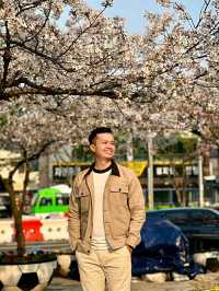 Gwangju: A Quiet Bloom in Korea’s Artistic SoulLocation: Gwangju, South Korea