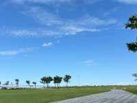 〔台東濱海公園〕藍天綠地大海一次擁有的療癒角落