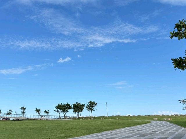 〔台東濱海公園〕藍天綠地大海一次擁有的療癒角落