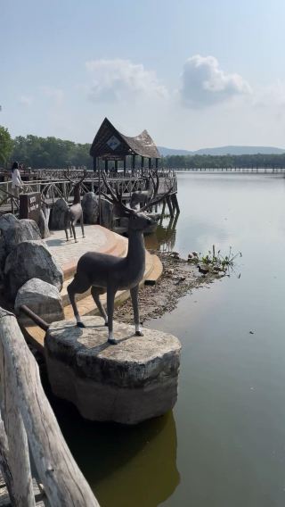 สะพานชมกวาง ชุมพร