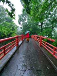 魅力だらけの静岡県