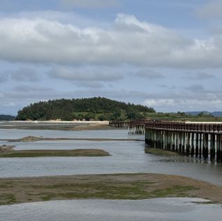 Muan Hwangto Mudflat Land