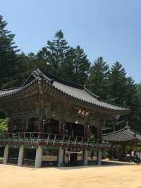 오대산 월정사