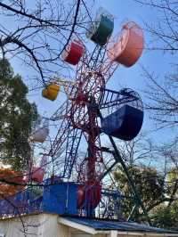 A Laid-Back Day in Himeji – Castles, Calm & a Few Furry Friends