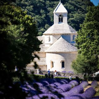 Complete Guide to Provence, France | Fall into a Summer of Purple Romance