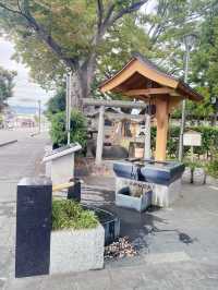 🫧【松本・まち歩きプラン】 湧き水と、やさしいお店に出会う1日。🚶‍♀️💧🍞
