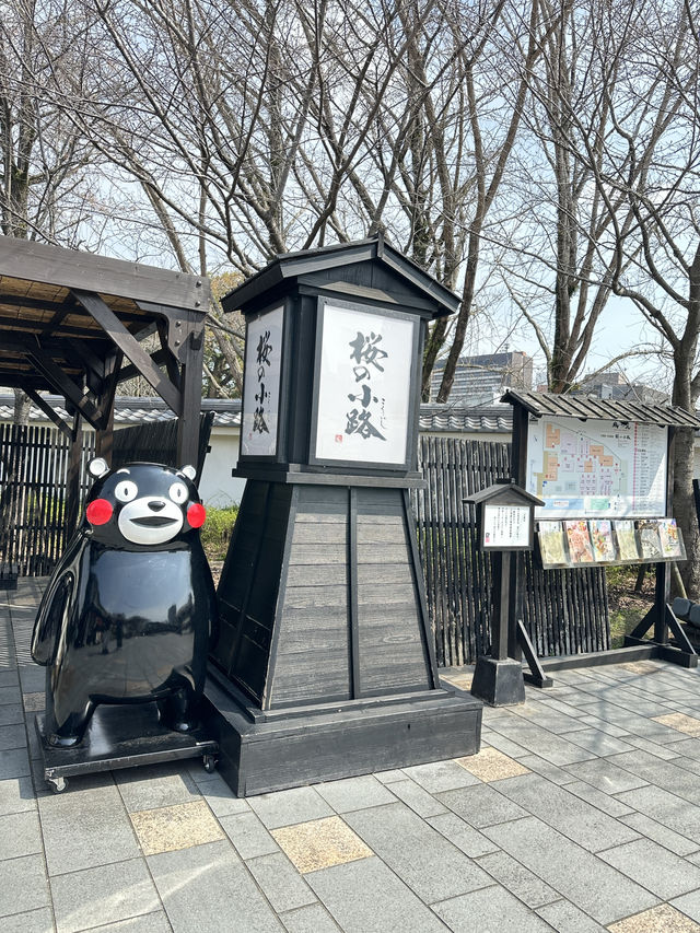 Kumamoto castle in japan 🇯🇵