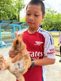 A Fun Day at ARBA Equine Archery Park – Horses, Archery & Petting Zoo!