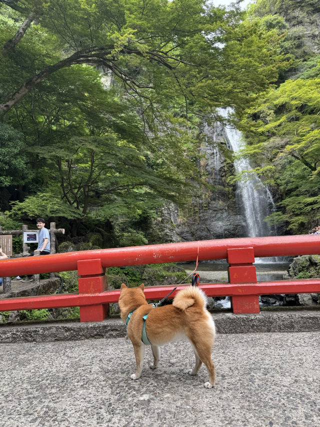 Full trip itinerary in Osaka