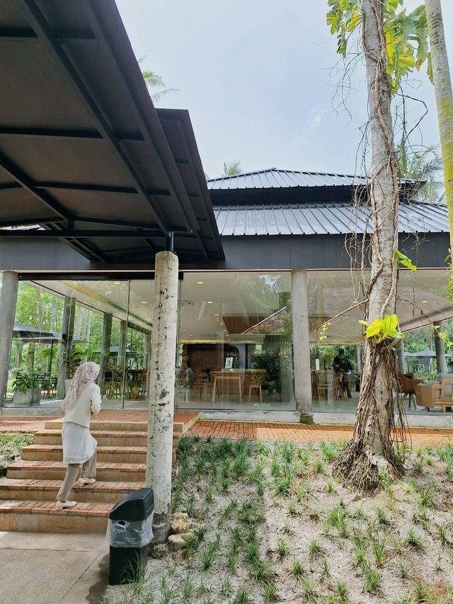 คาเฟ่ฮิลใจ Olive fe'🥤☕️