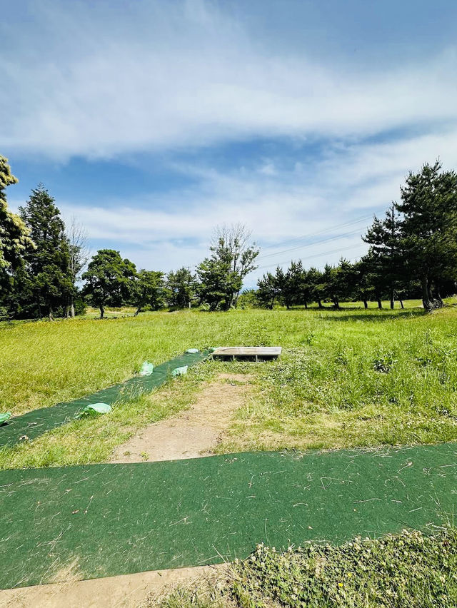 Kamegaoka Archaeological Site