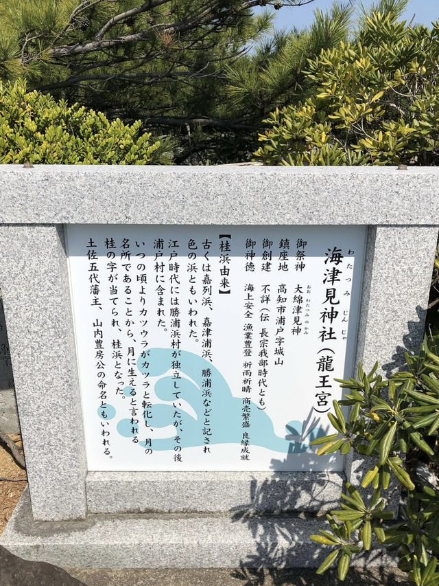 A Relaxed Day by the Sea – Exploring Katsurahama