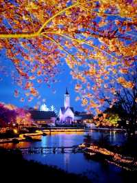 Petals & Lights – A Dreamy Night at Nabana no Sato