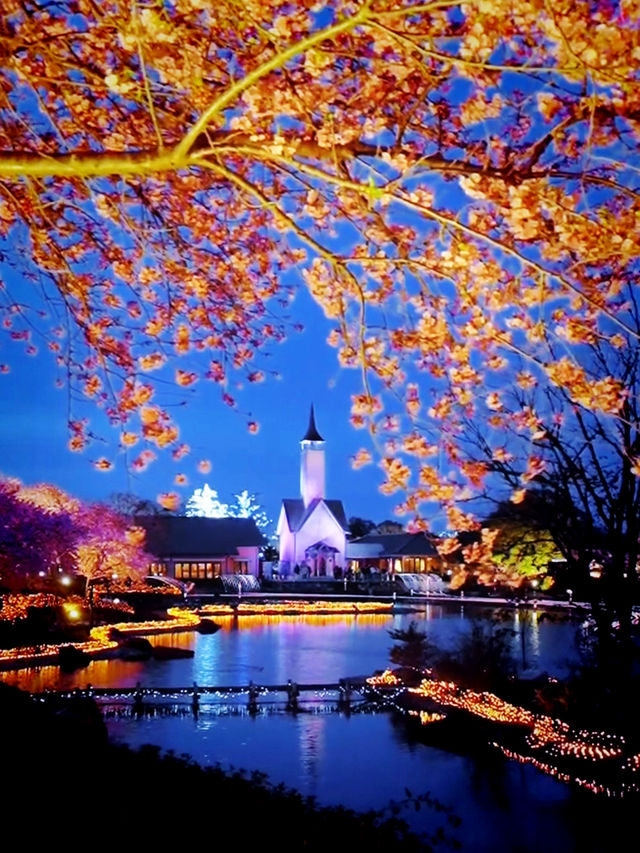 Petals & Lights – A Dreamy Night at Nabana no Sato