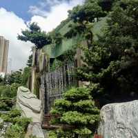 Nan Lian Garden: A Peaceful Haven in the City
