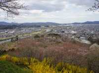 東京至東北攻略：船岡公園賞櫻