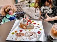 京都🇯🇵愛犬の似顔絵を描いてくれるカフェ🐶