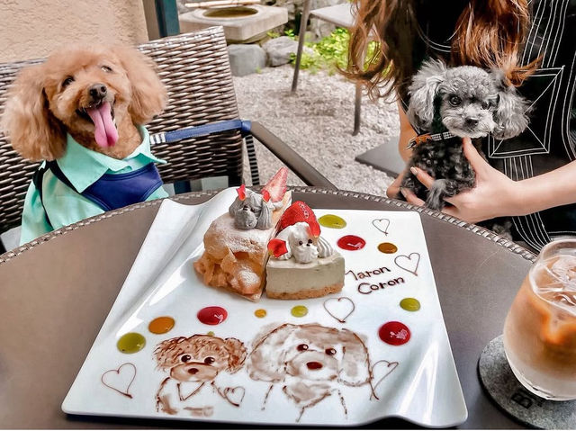 京都🇯🇵愛犬の似顔絵を描いてくれるカフェ🐶