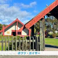 【NZ】🌋オークランドからロトルアへ！