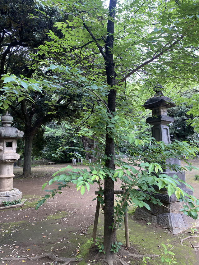 【東京都赤坂🇯🇵赤坂氷川神社】平安時代から続く神社