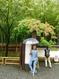 Exploring Endless Japan