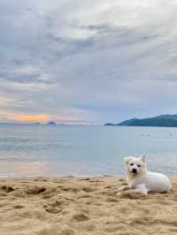 Nha Trang - Where the Sun-Kissed hits