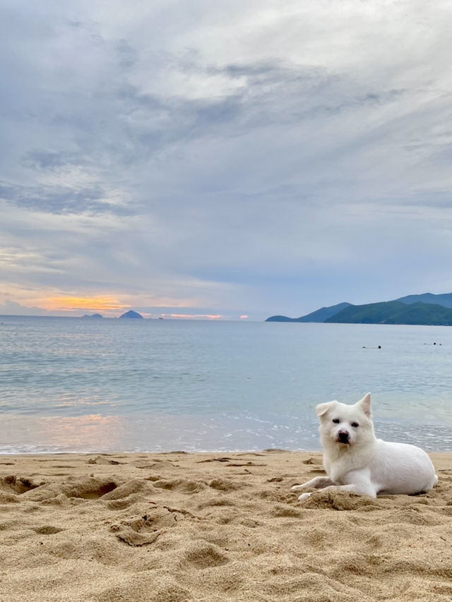 Nha Trang - Where the Sun-Kissed hits
