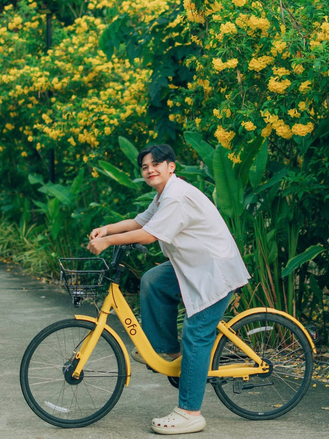 พักผ่อนแบบชิลๆ ที่พักติดป่าชายเลน ฟีลกู๊ดมาก 💚🌳