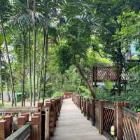🦜🌿 Hong Kong Hidden Gem | Free Immersive Birdwatching in Central?!