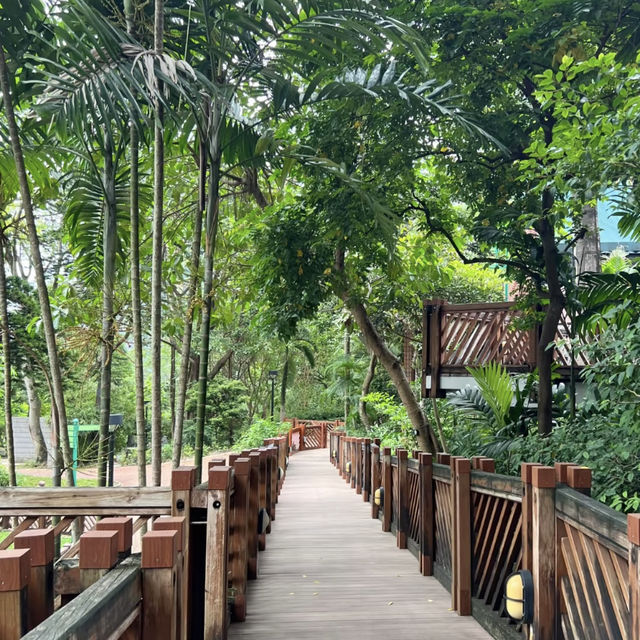 🦜🌿 Hong Kong Hidden Gem | Free Immersive Birdwatching in Central?!
