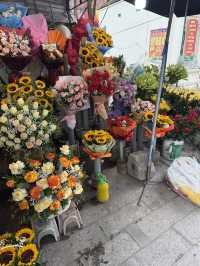 Day Trip Itinerary for Hanoi