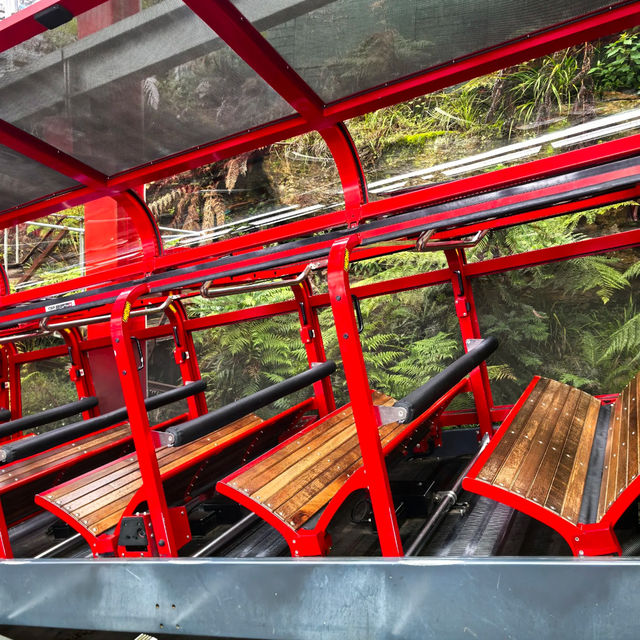 Sydney | Blue Mountains Day Trip 🏞️🚞