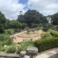 Sydney Royal Botanic Garden  🌿🌸
