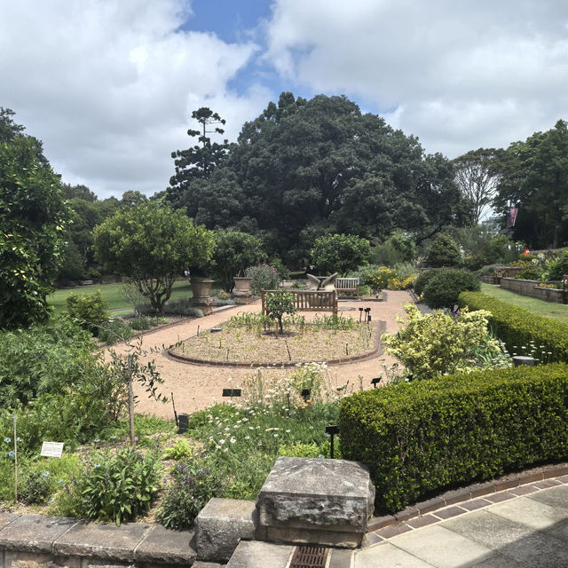 Sydney Royal Botanic Garden  🌿🌸