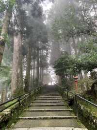 🌄⛩【京都・滋賀｜比叡山】 