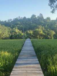เชียงของ
