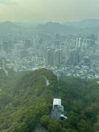 南山塔，來場粉紅泡泡的邂逅吧