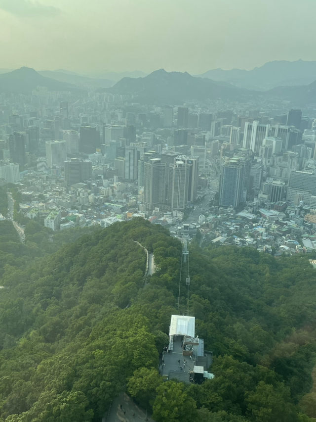 南山塔，來場粉紅泡泡的邂逅吧