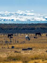 Tibet: the roof of the world