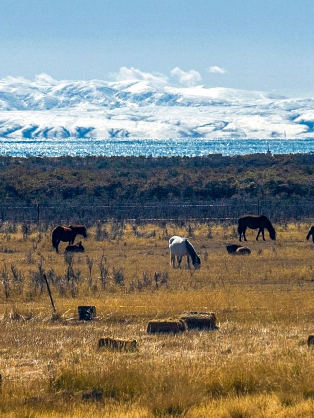 Tibet: the roof of the world