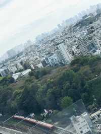 【東京都北区赤羽の自然と清い滝・文化の融合したローカル遊歩道】