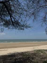 กางเต็นท์ริมหาดปึกเตียน สวรรค์ของคนรักสงบ🌊